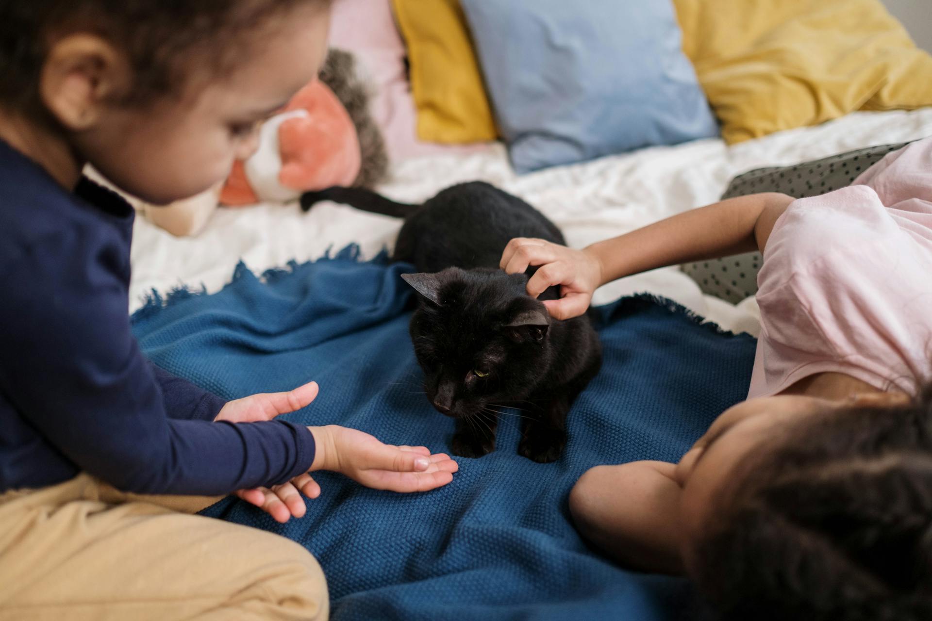 How Pet Stories Teach Kids Responsibility