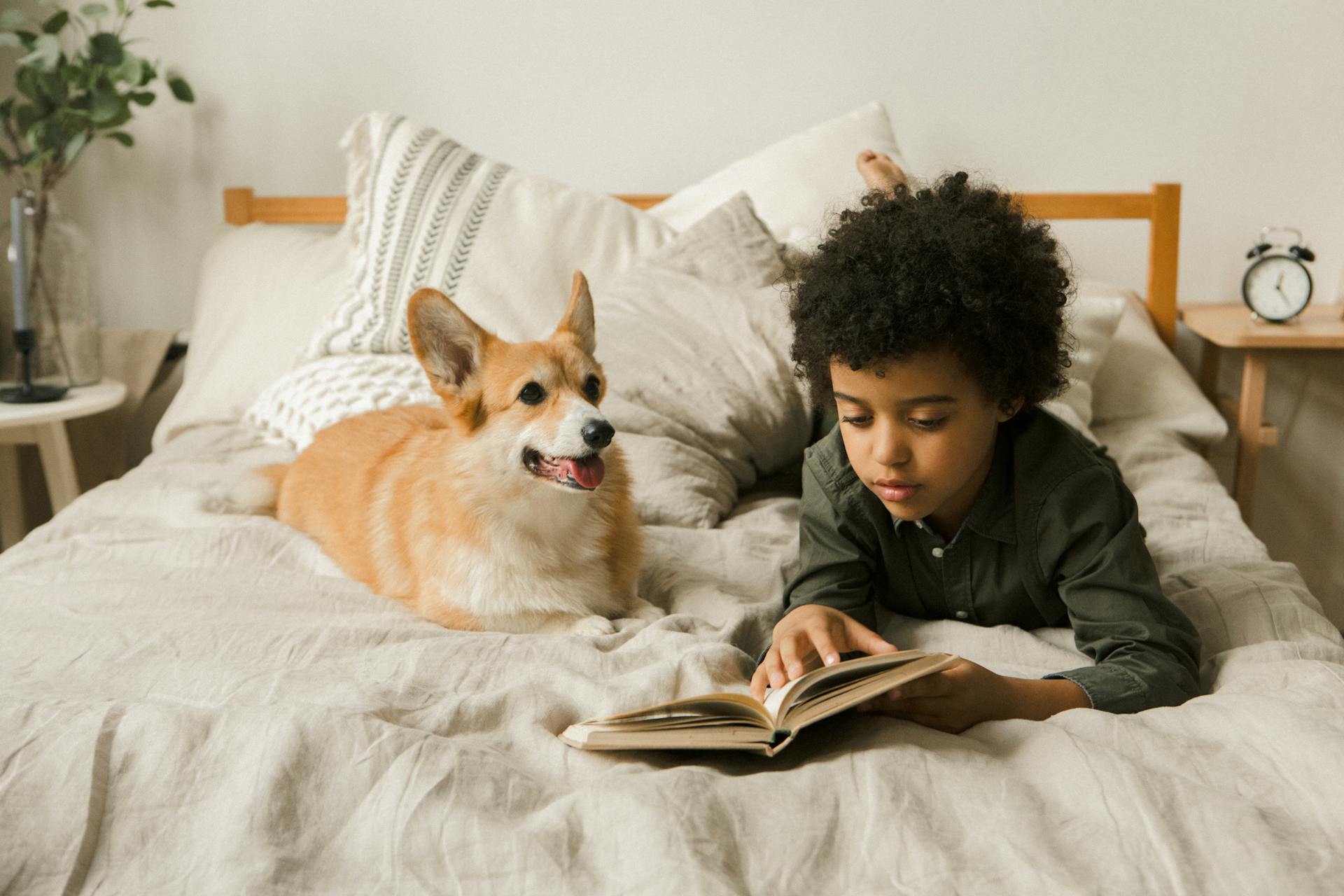 How Dog Stories Teach Kids Kindness and Empathy